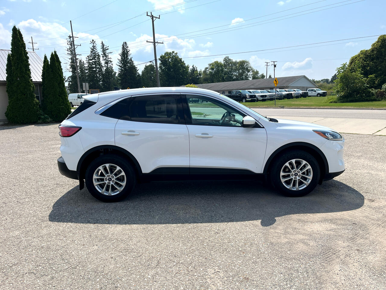 Ford Escape  2020 Ford Escape  2020
