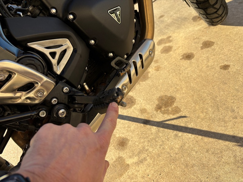 Triumph Scrambler  2025