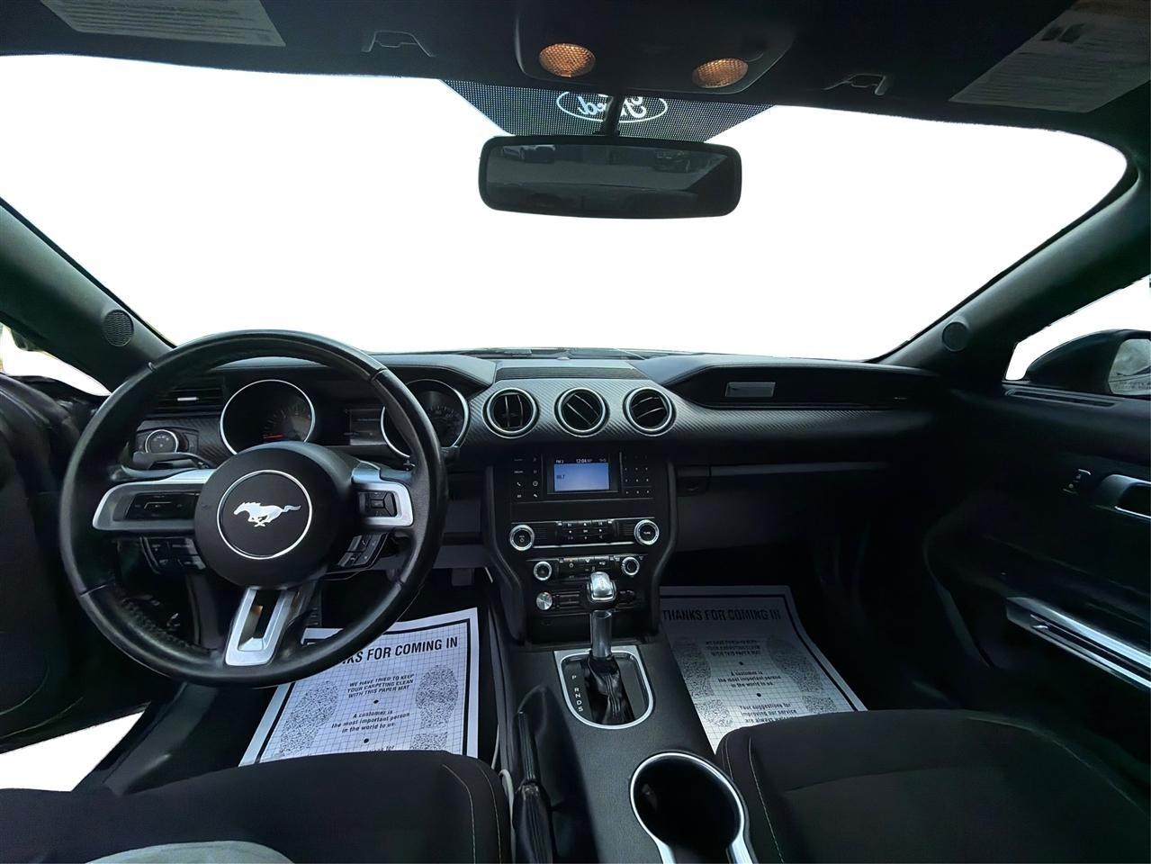 Ford Mustang EcoBoost Coupe 2019