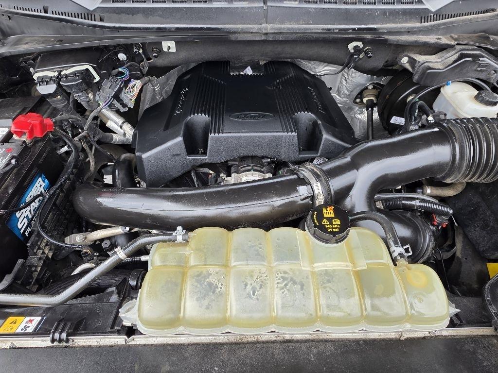 Ford F-150  2019