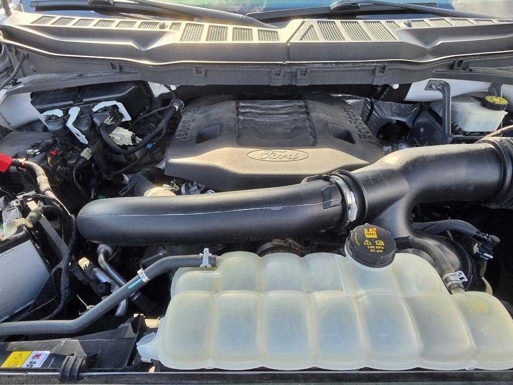Ford F-150  2021
