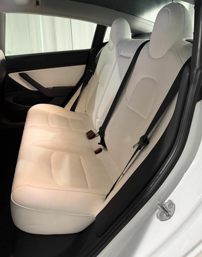 Tesla Model 3  2019