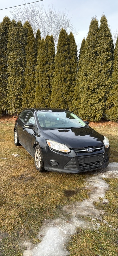 2014 Ford Focus SE's photo