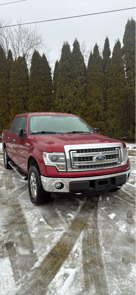 2014 Ford F-150 XL's photo