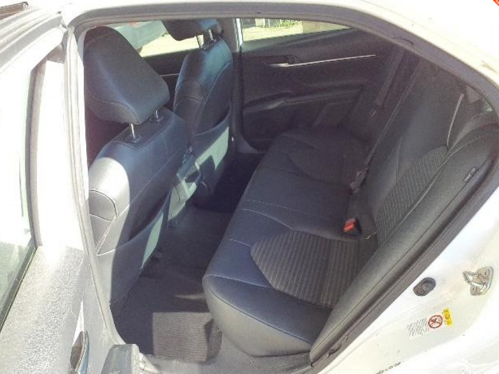 Toyota Camry XLE 2019