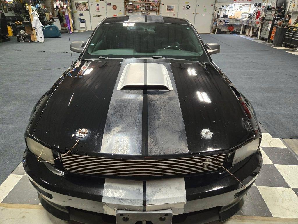 Ford Mustang  2007