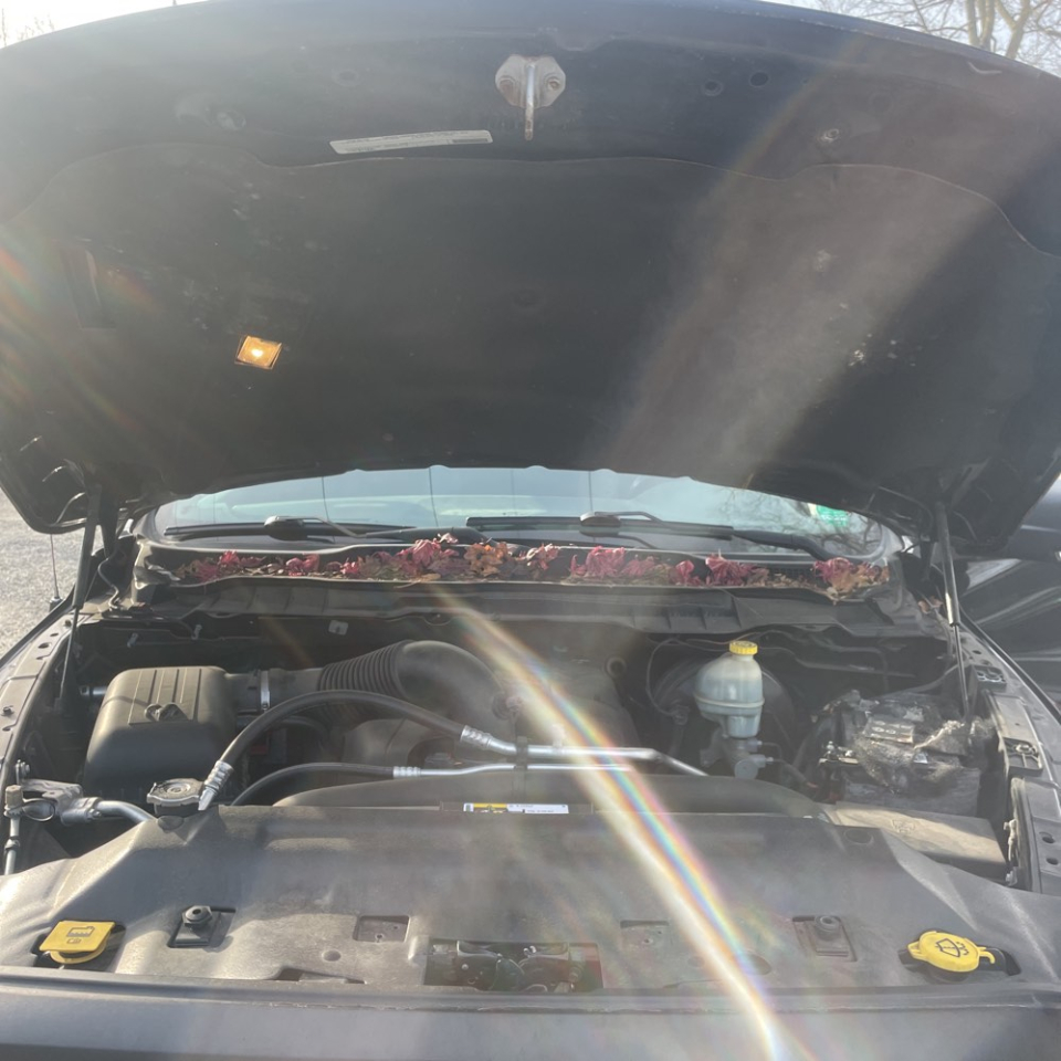 RAM 1500 Rebel Crew Cab 4WD 2016