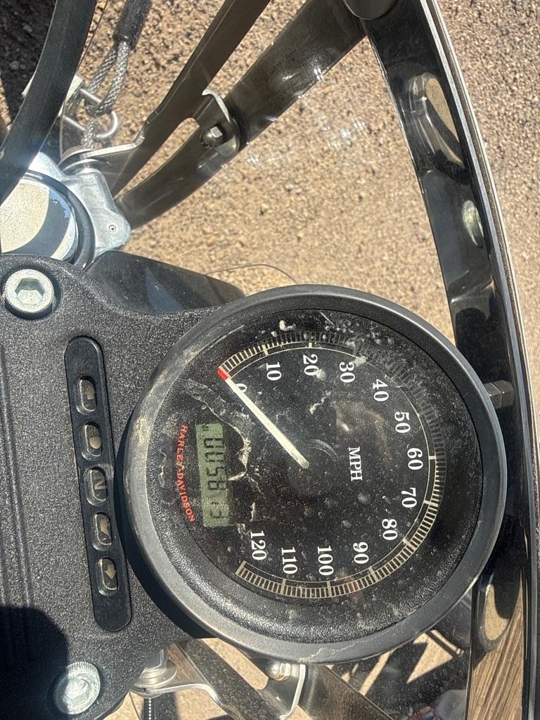 Harley-Davidson XL1200N  2009