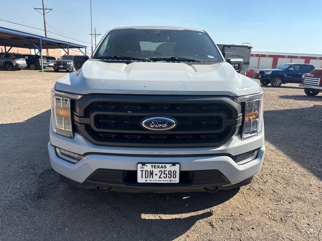 Ford F-150 XL SuperCrew 6.5-ft. Bed 4WD 2023