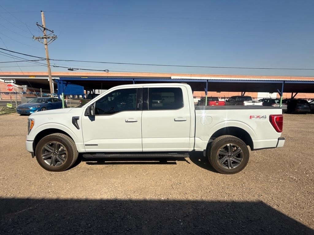 Ford F-150 XL SuperCrew 6.5-ft. Bed 4WD 2023