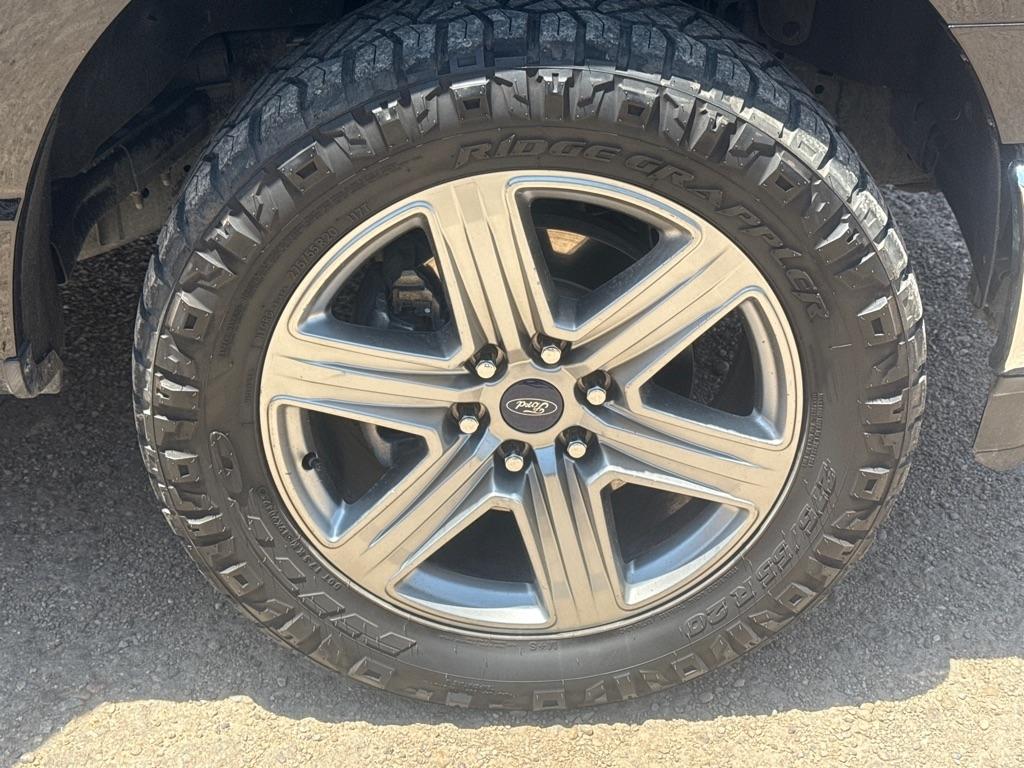 Ford F-150 XL SuperCrew 6.5-ft. Bed 4WD 2023