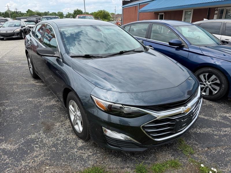 2019 Chevrolet Malibu 1FL (Fleet)'s photo