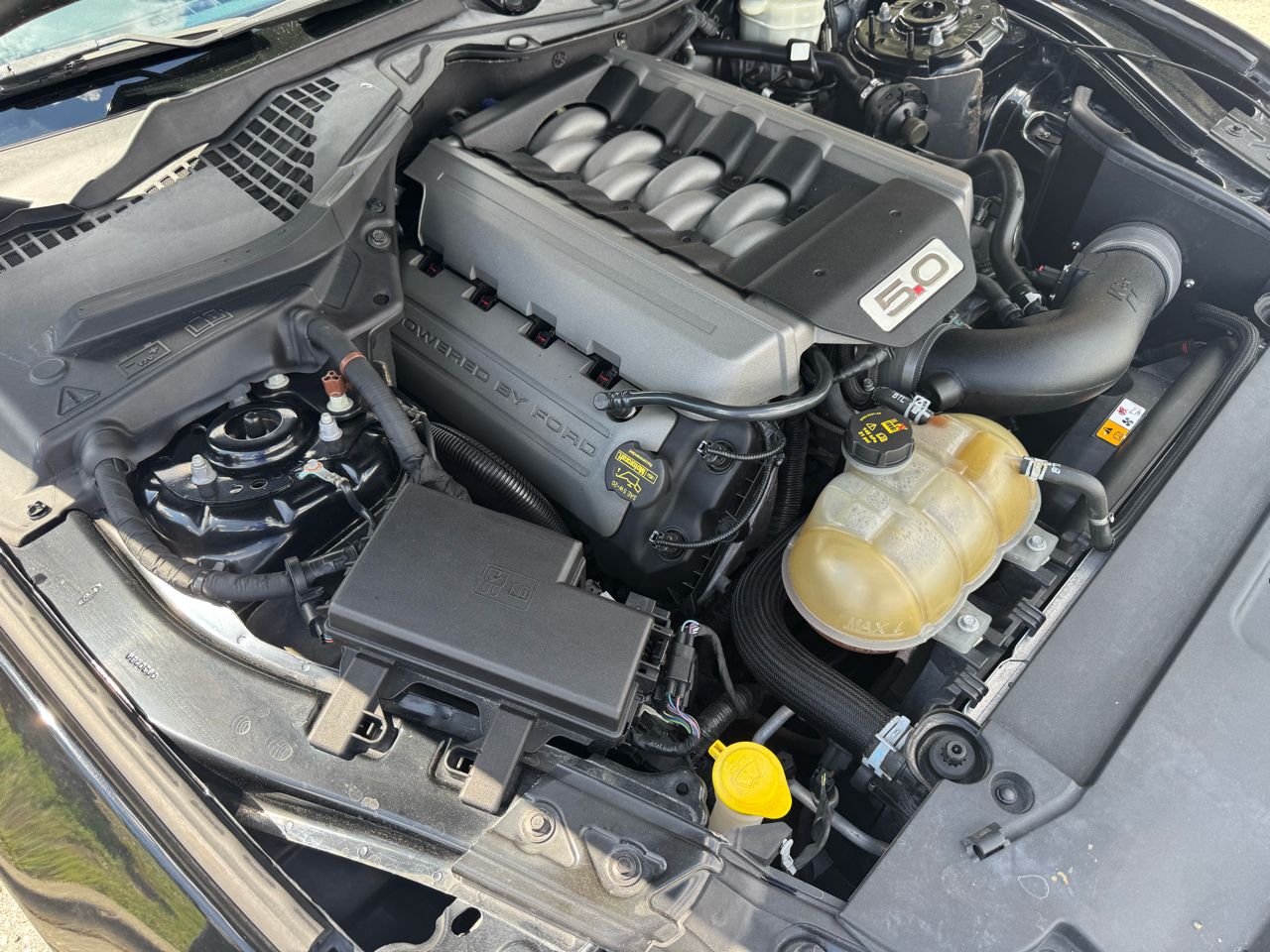 2015 Ford Mustang GT Premium photo 17
