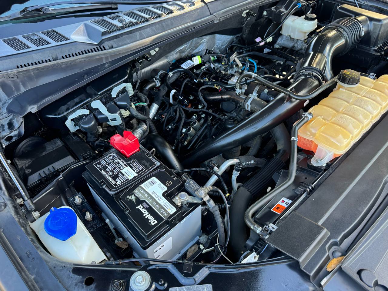 Ford F-150 XLT 4WD SuperCrew 5.5' Box 2019