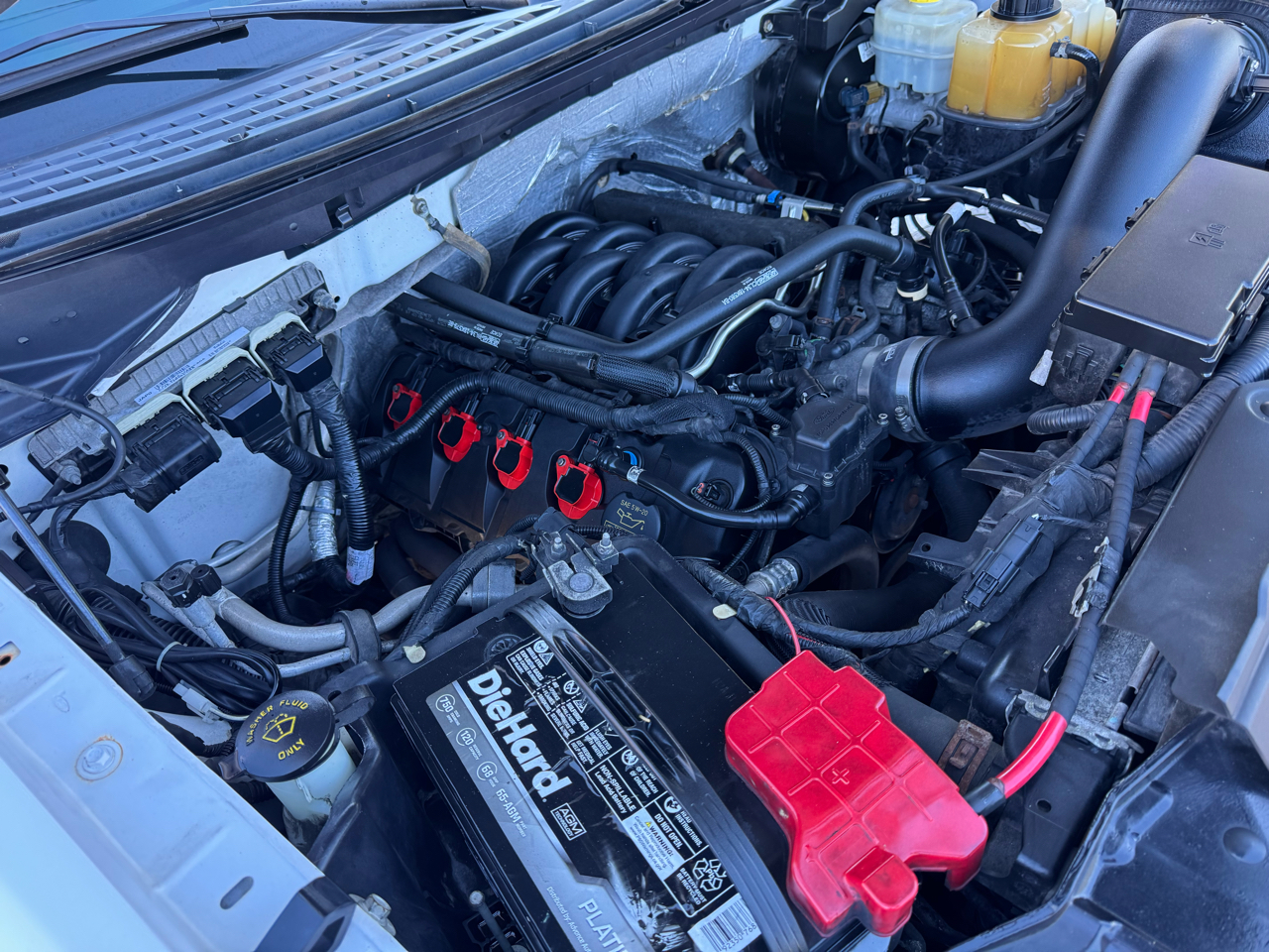 Ford F-150 4WD SuperCrew 145" FX4 2014