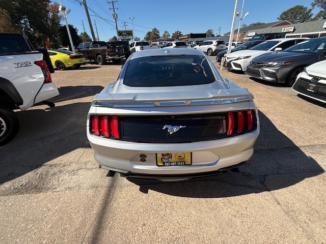 Ford Mustang  2019 Ford Mustang  2019