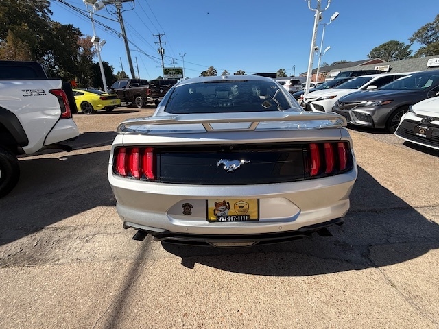 Ford Mustang  2019 Ford Mustang  2019