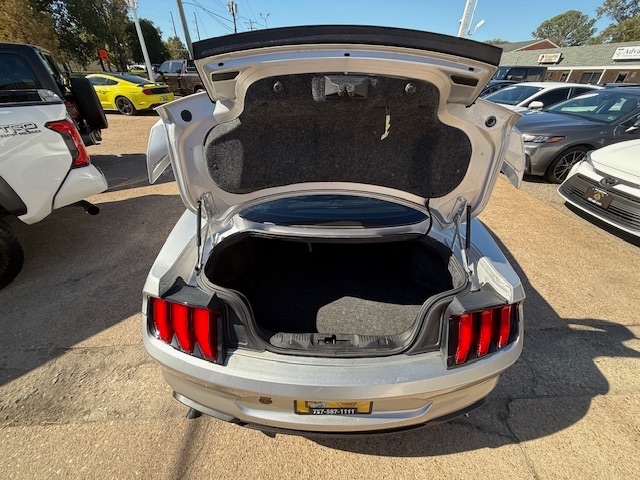 Ford Mustang  2019 Ford Mustang  2019