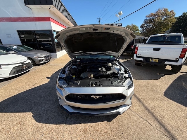 Ford Mustang  2019 Ford Mustang  2019
