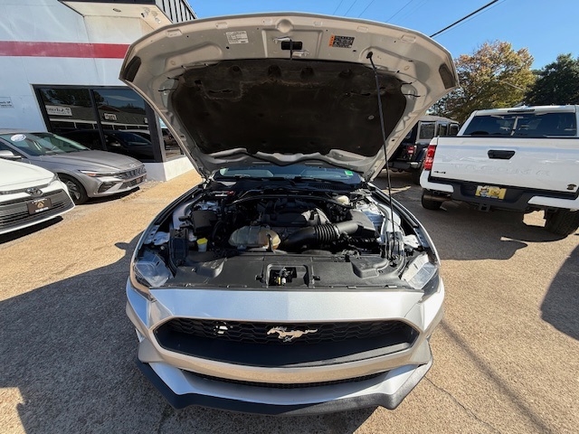 Ford Mustang  2019 Ford Mustang  2019