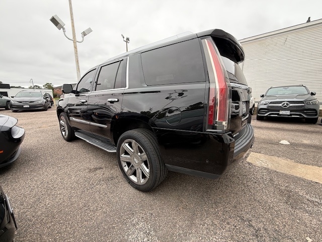 Cadillac Escalade  2019 Cadillac Escalade  2019