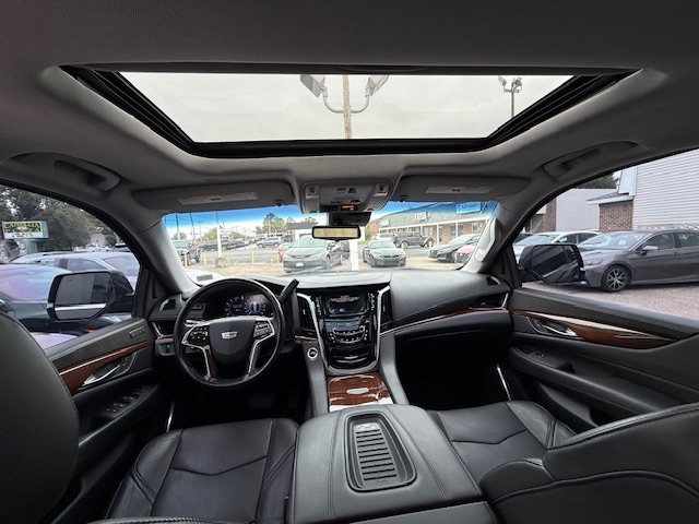 Cadillac Escalade  2019 Cadillac Escalade  2019