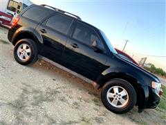 2009 Ford Escape  2009 Ford Escape