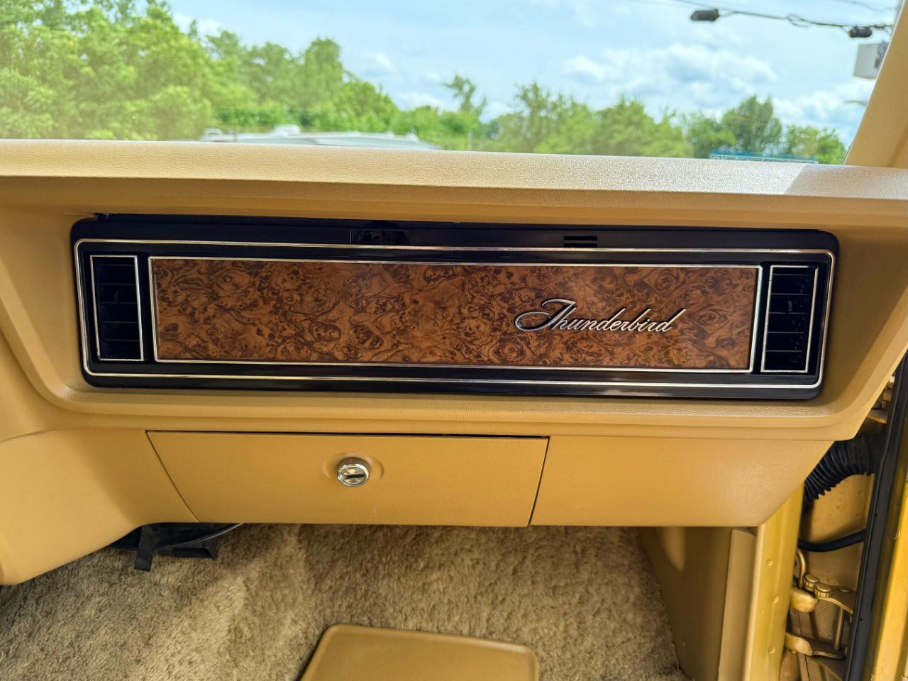 Ford Thunderbird  1976