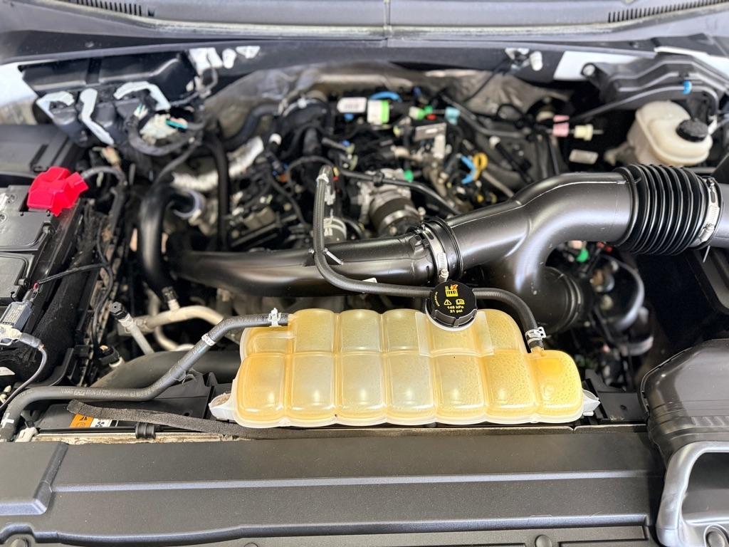 Ford F-150  2019