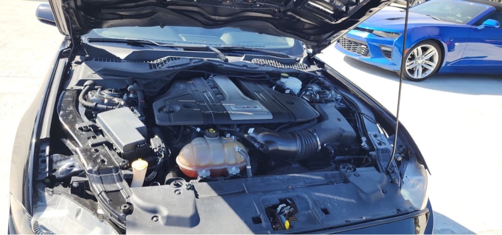 Ford Mustang GT Coupe 2019 Ford Mustang GT Coupe 2019