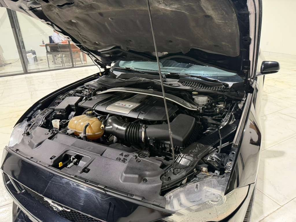 Ford Mustang GT Coupe 2019