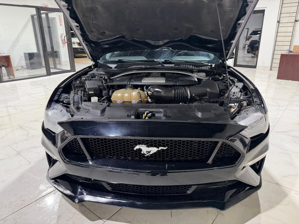 Ford Mustang GT Coupe 2019