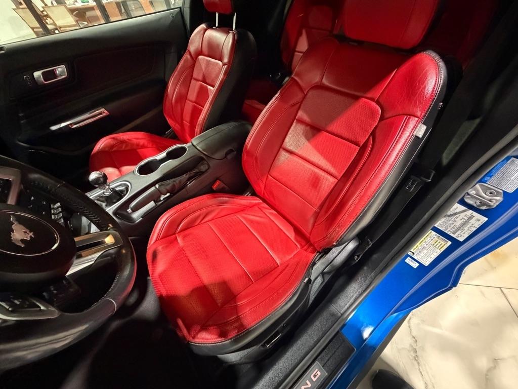 Ford Mustang GT Coupe 2019