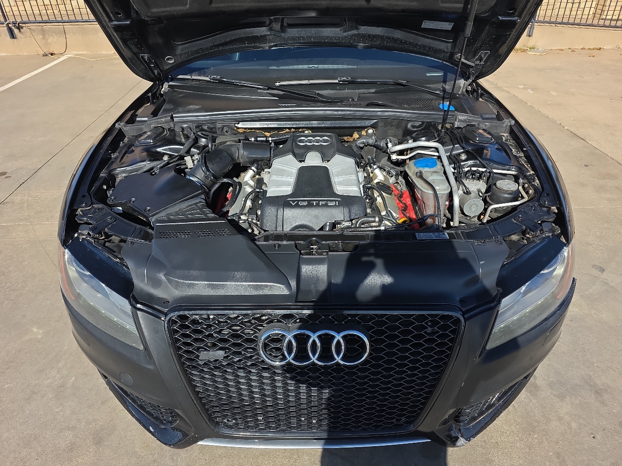 Audi S5 3.0T Premium Plus Coupe quattro S tronic 2010