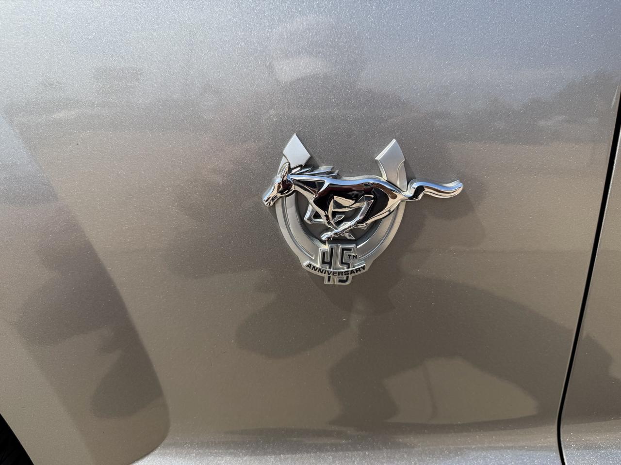 Ford Mustang 2dr Cpe GT 2009