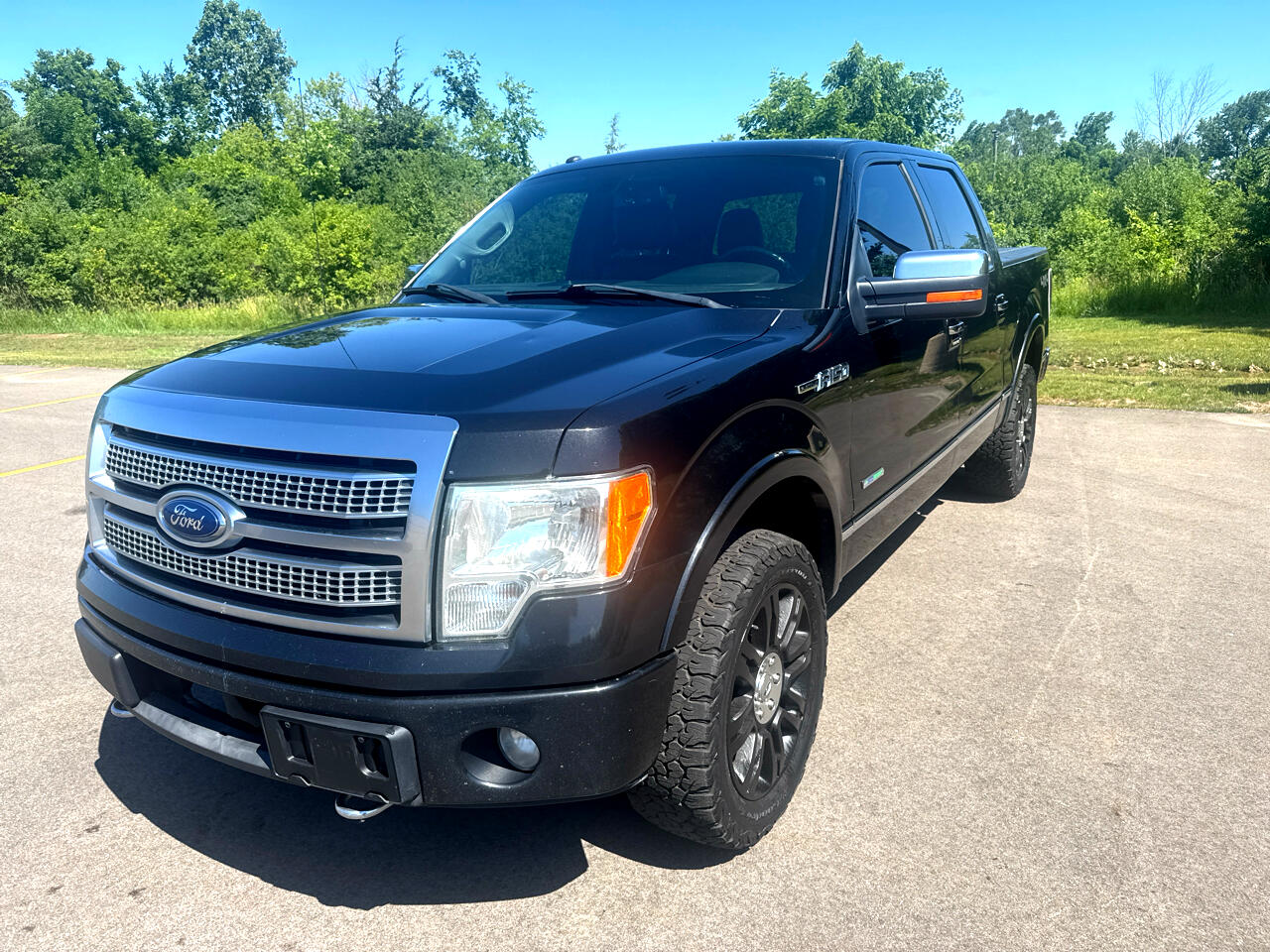 2012 Ford F-150 Platinum SuperCrew 5.5-ft. Bed 4WD