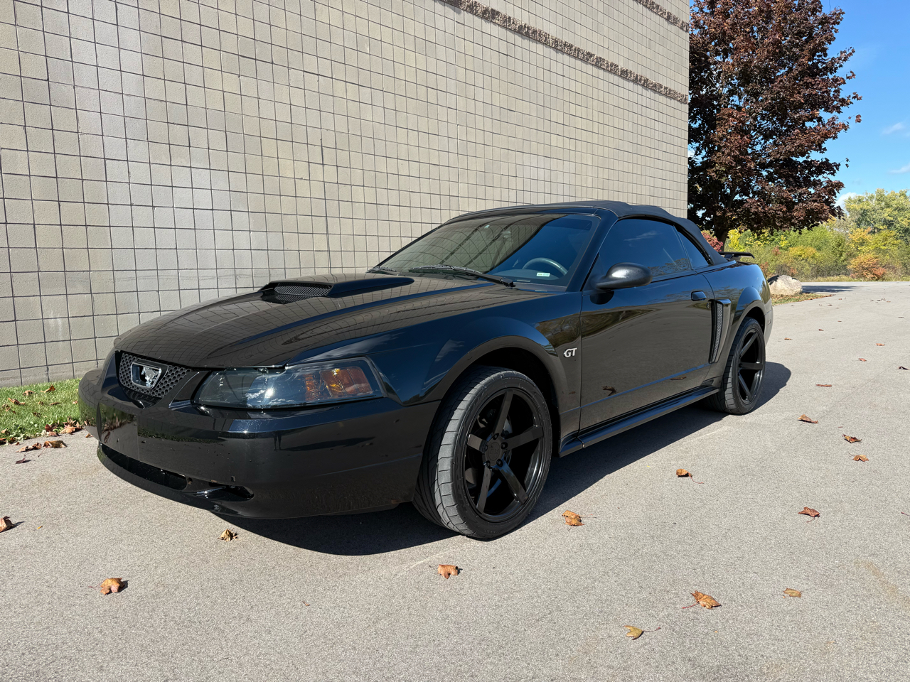 2002 Ford Mustang GT Deluxe