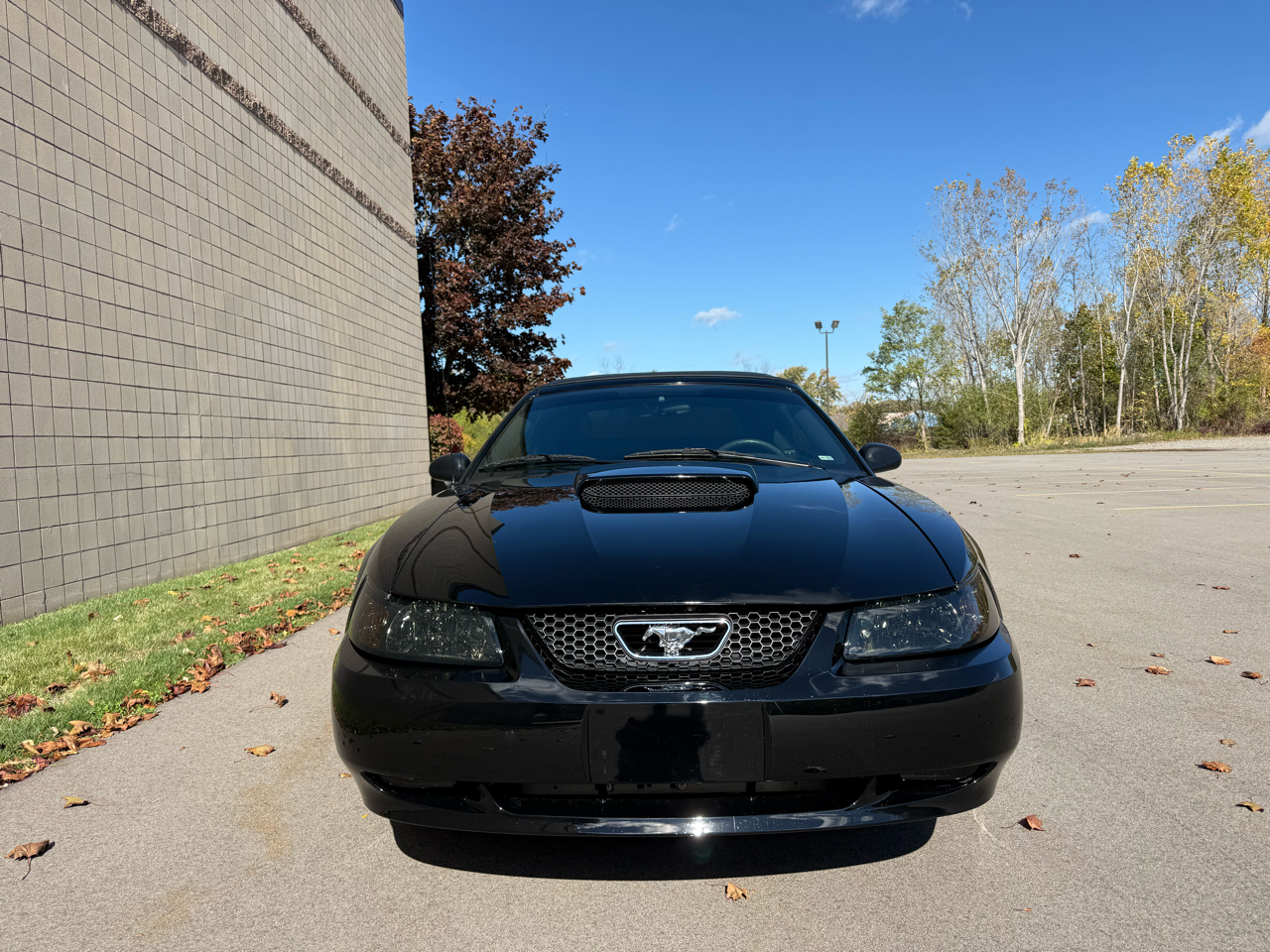 Ford Mustang GT Deluxe Convertible 2002