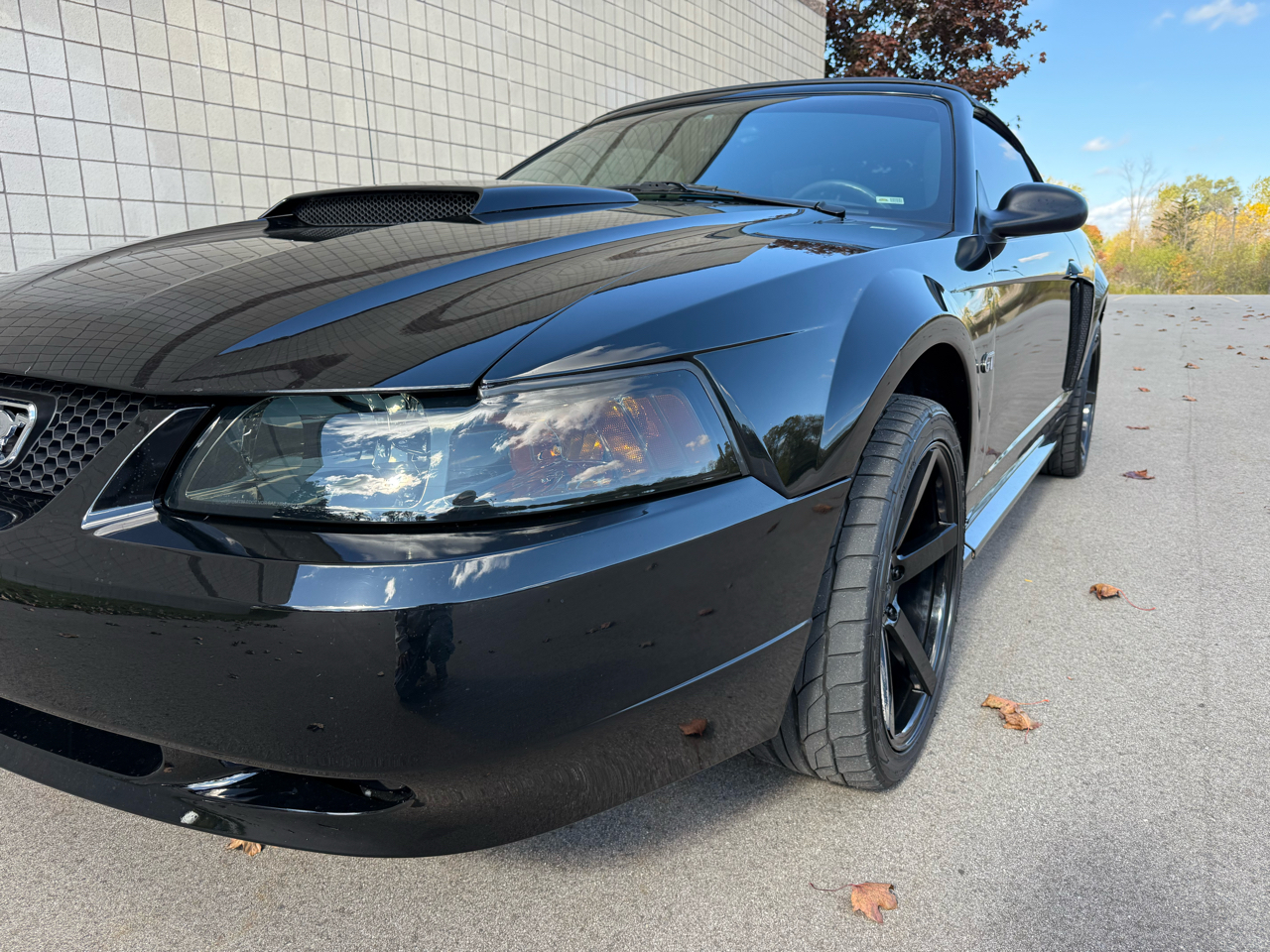 Ford Mustang GT Deluxe Convertible 2002