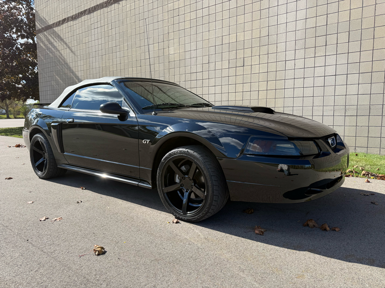 Ford Mustang GT Deluxe Convertible 2002