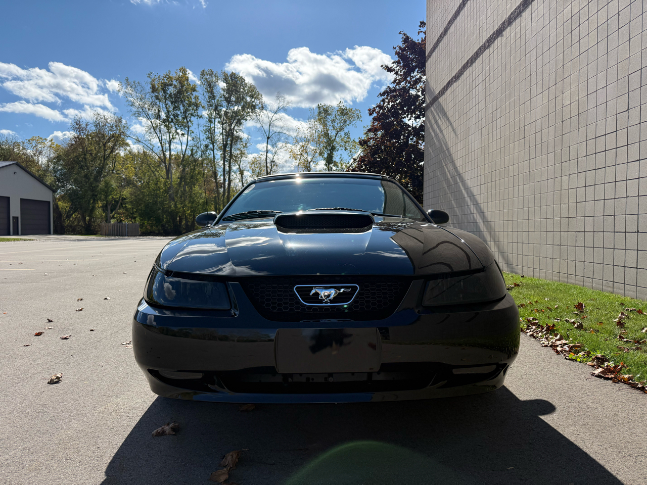 Ford Mustang GT Deluxe Convertible 2002