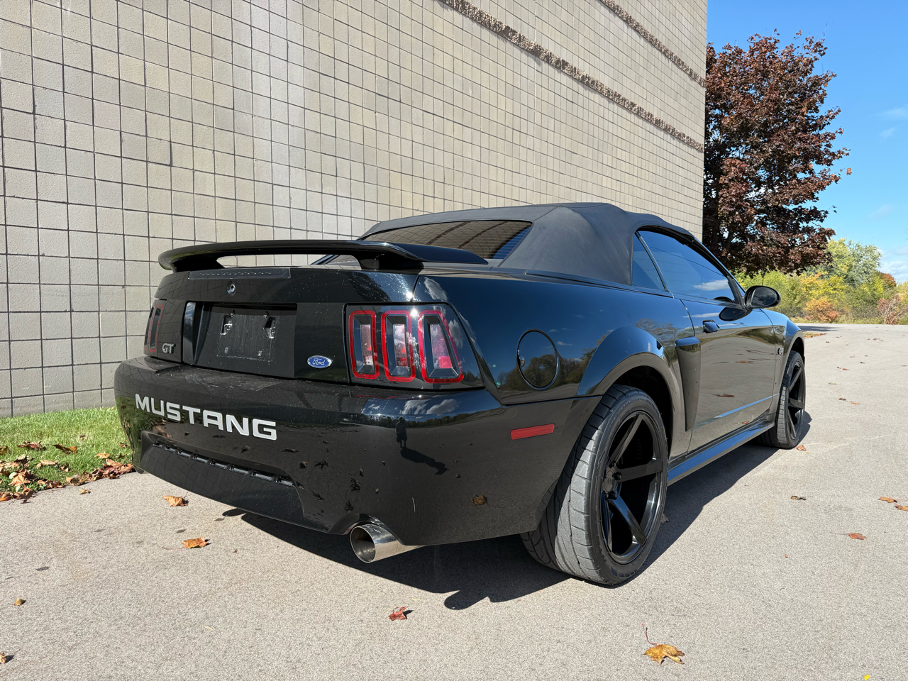 Ford Mustang GT Deluxe Convertible 2002