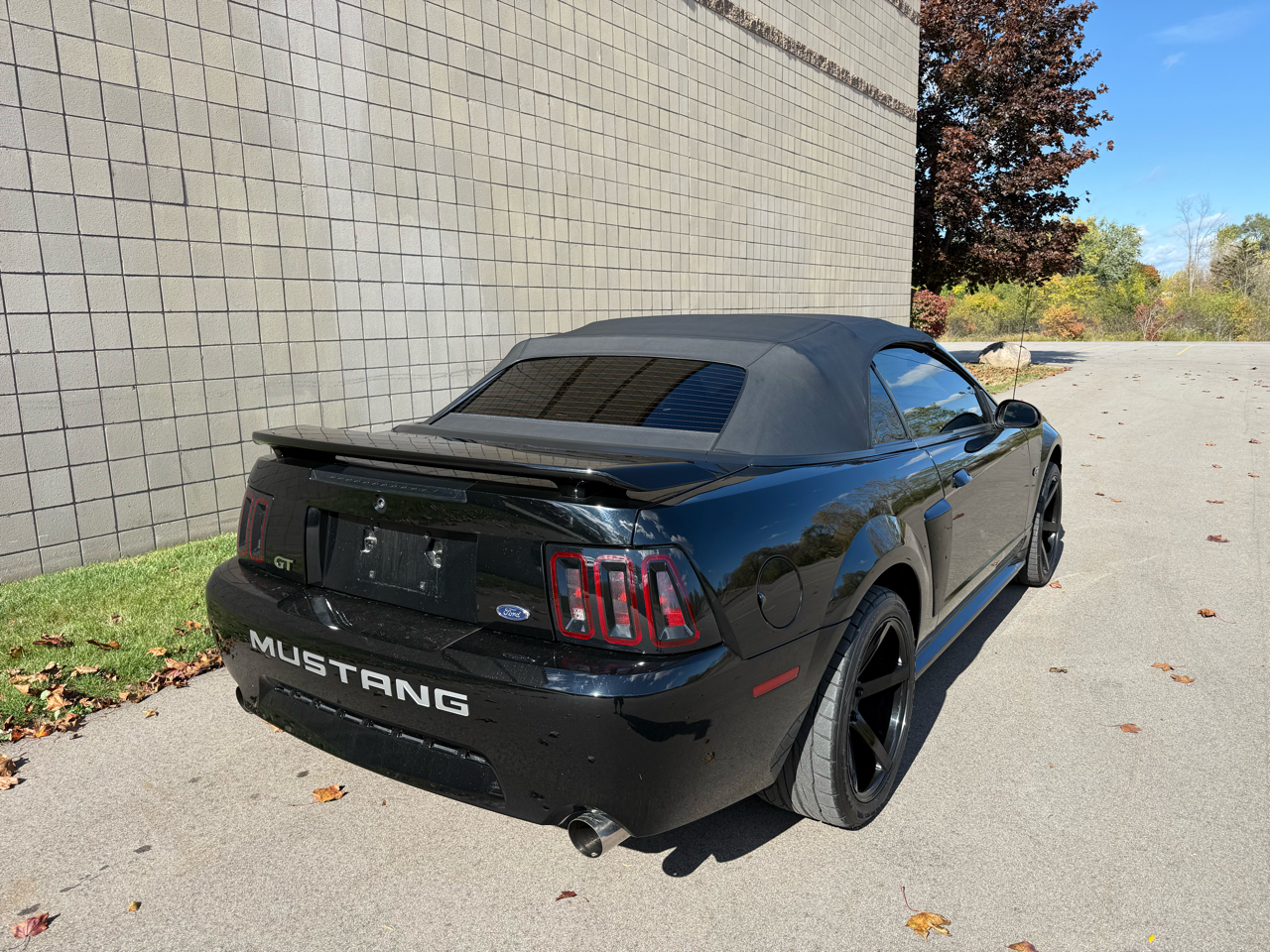 Ford Mustang GT Deluxe Convertible 2002