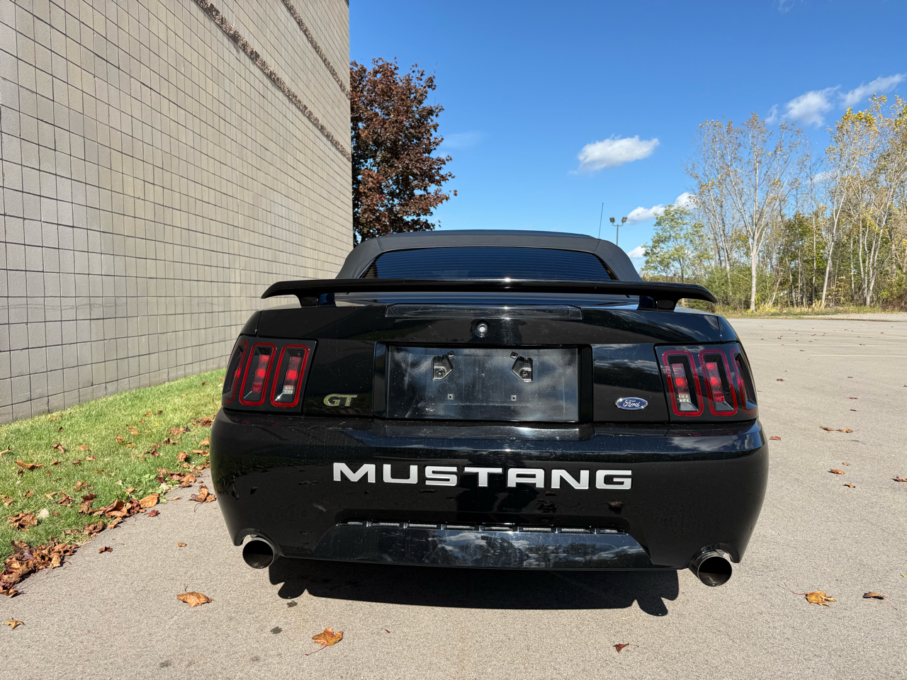 Ford Mustang GT Deluxe Convertible 2002