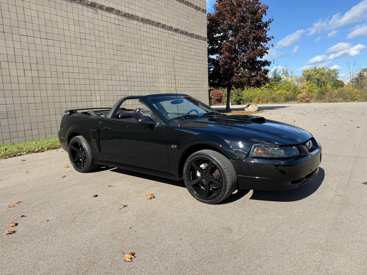 Ford Mustang GT Deluxe Convertible 2002