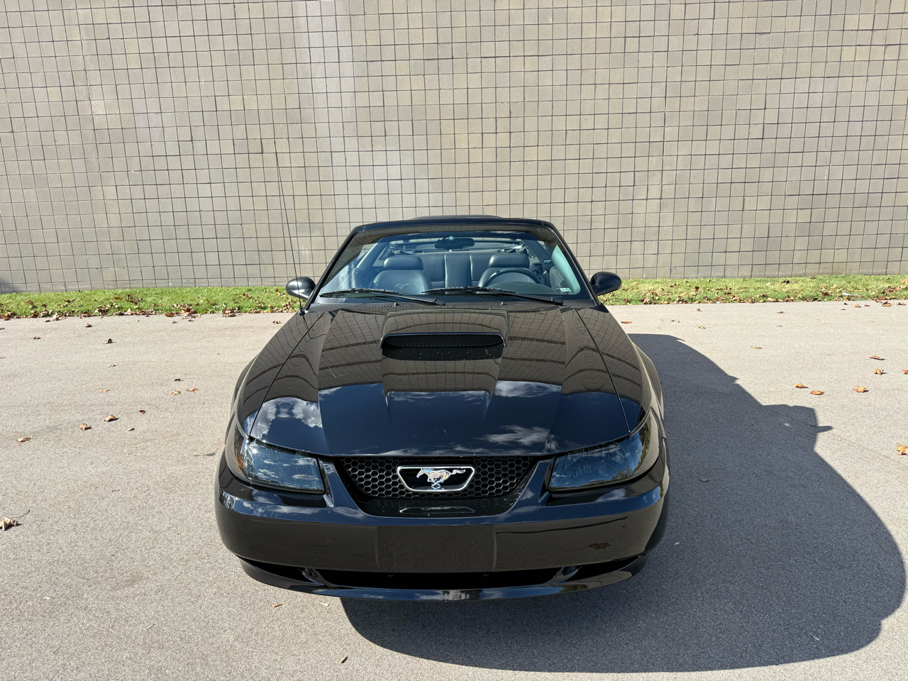 Ford Mustang GT Deluxe Convertible 2002