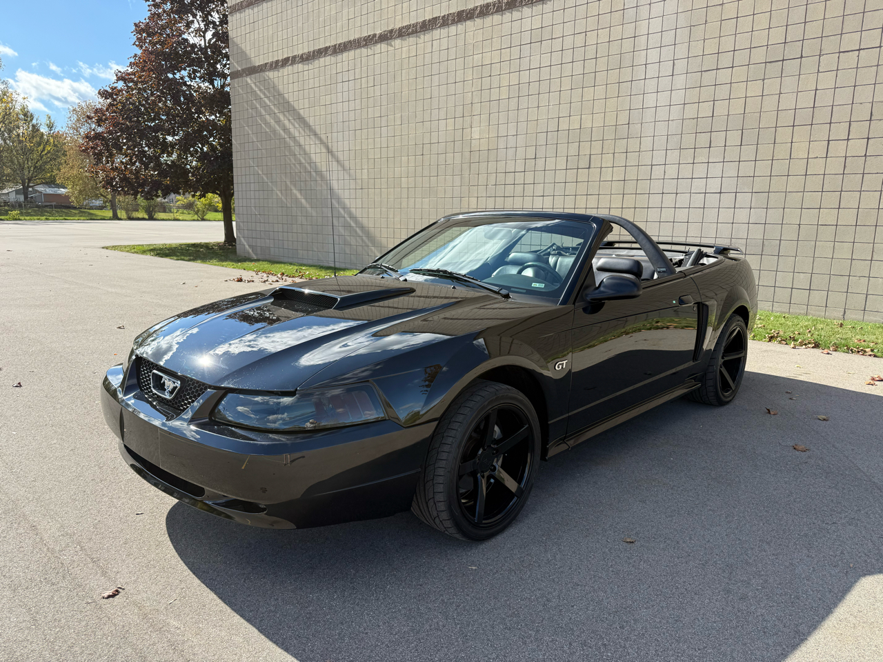 Ford Mustang GT Deluxe Convertible 2002