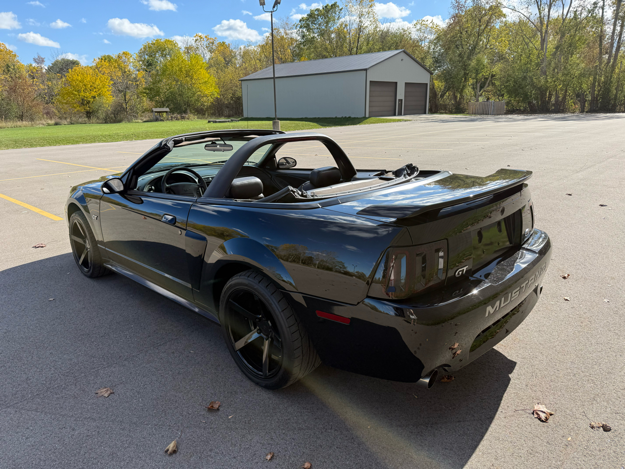 Ford Mustang GT Deluxe Convertible 2002