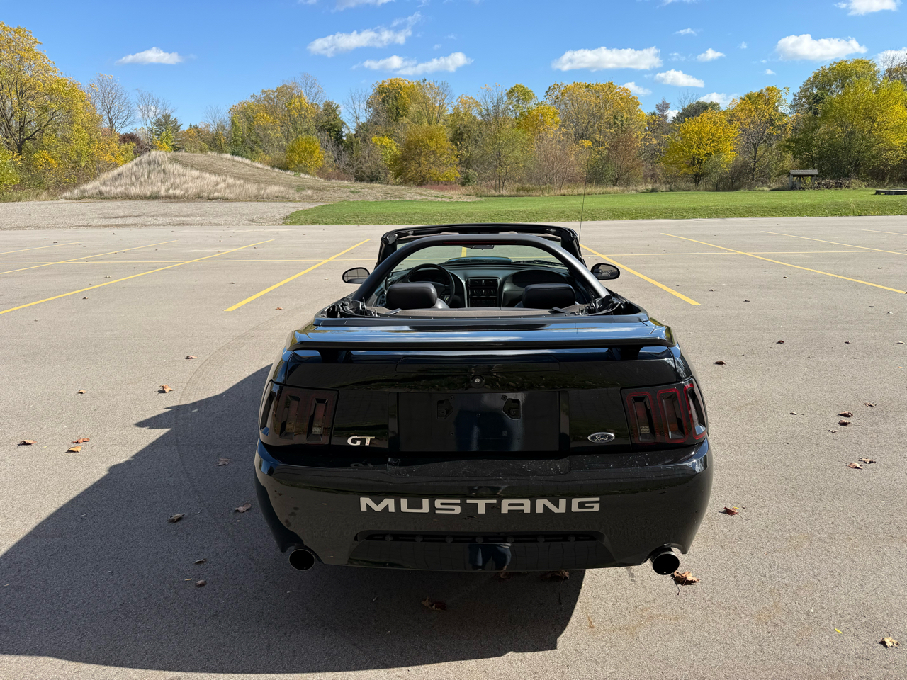 Ford Mustang GT Deluxe Convertible 2002