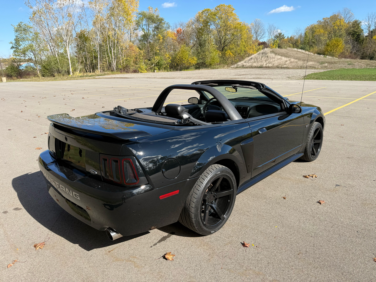 Ford Mustang GT Deluxe Convertible 2002